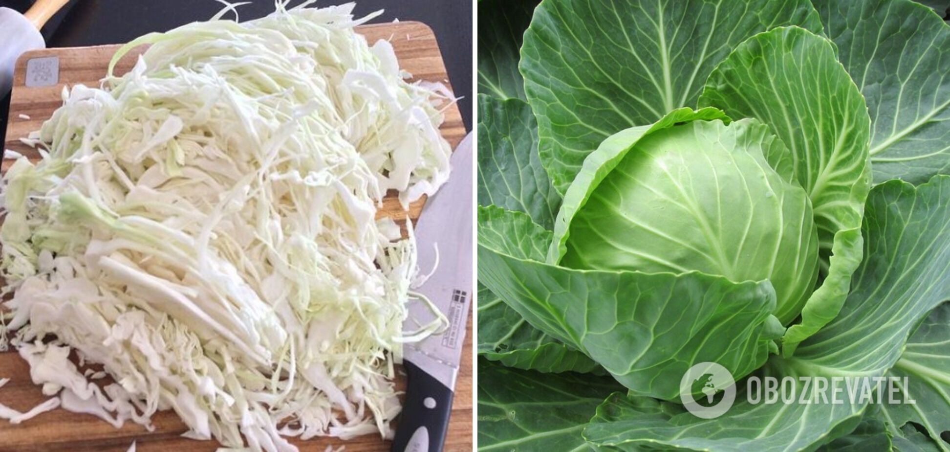 Shredded cabbage for the filling