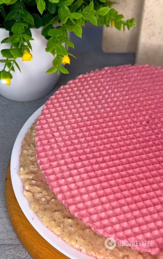 Wafer cake that melts in your mouth: all the secrets of cooking