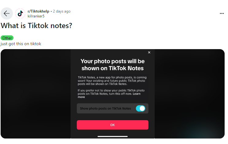 TikTok wants to launch an Instagram competitor: how the app will work