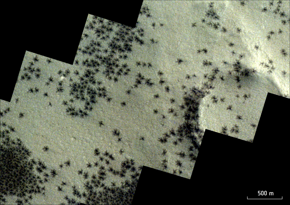 Setki czarnych ''pająków'' odkrytych na Marsie. Zdjęcie