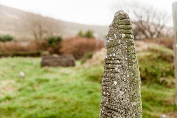 Rzadkie przykłady takich kamieni dają wgląd w język irlandzki przed użyciem łacińskiego pisma wyspiarskiego