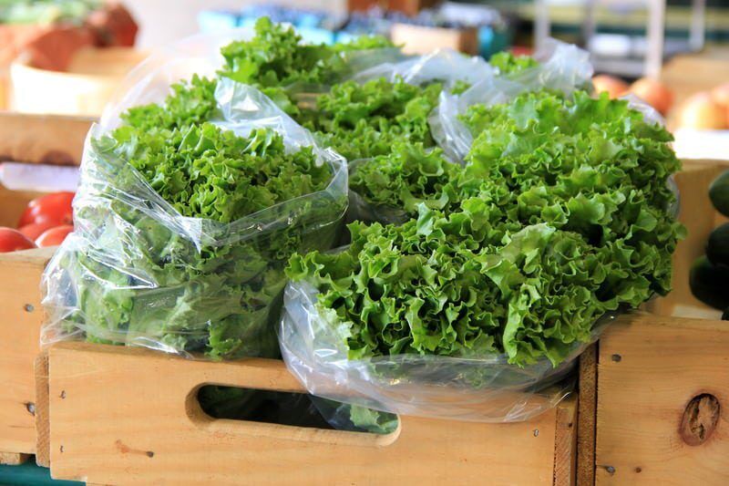 Quickly wilt and turn black: how not to store fresh herbs