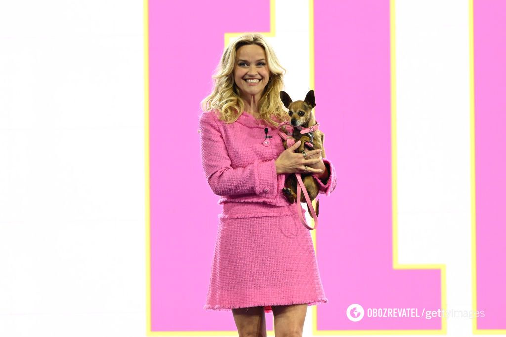 Is Legally Blonde returning? Reese Witherspoon hinted at a continuation of the film series. Photo