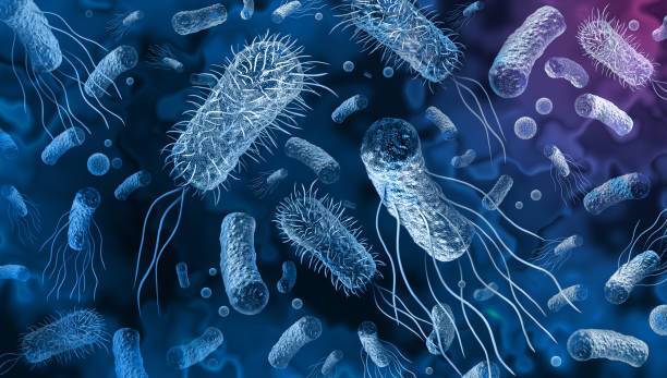 Walka z superbakteriami. Naukowcy opracowali potężny antybiotyk, który może dokonać przełomu w medycynie