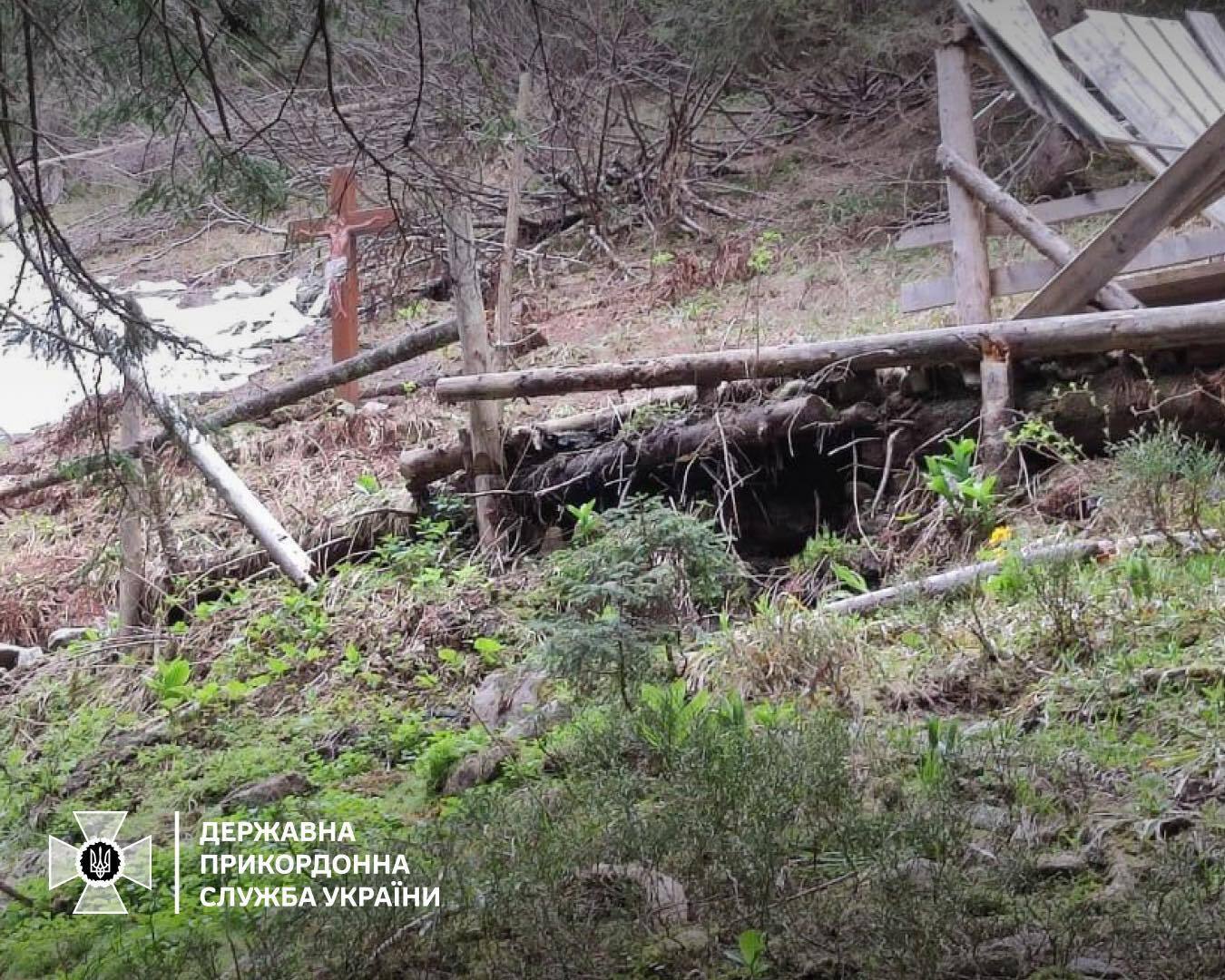 Niebezpieczne dla życia: straż graniczna ostrzega uciekinierów przed niedźwiedziami na granicy z Rumunią