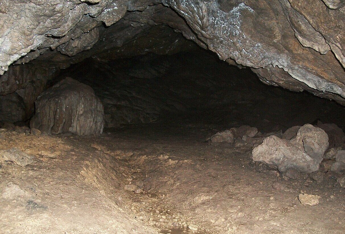 The first cave site of Stone Age people in Transcarpathia taken under special protection. Photo