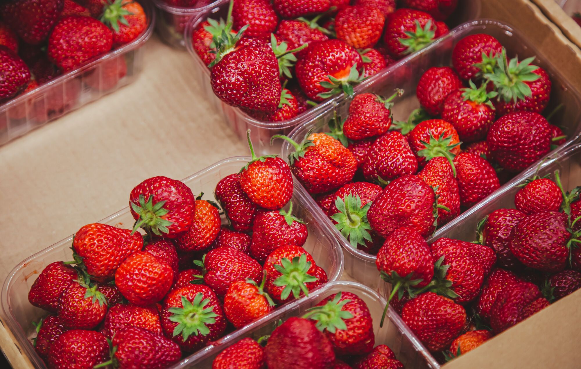 Ripe and safe strawberries