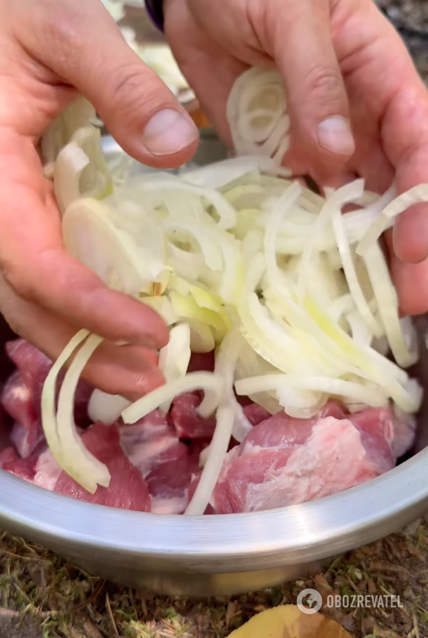 Mięso z cebulą i przyprawami