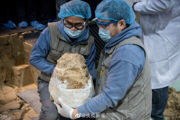 Czaszka znaleziona w Chinach może należeć do ''Człowieka Smoka'', który żył milion lat temu. Zdjęcie