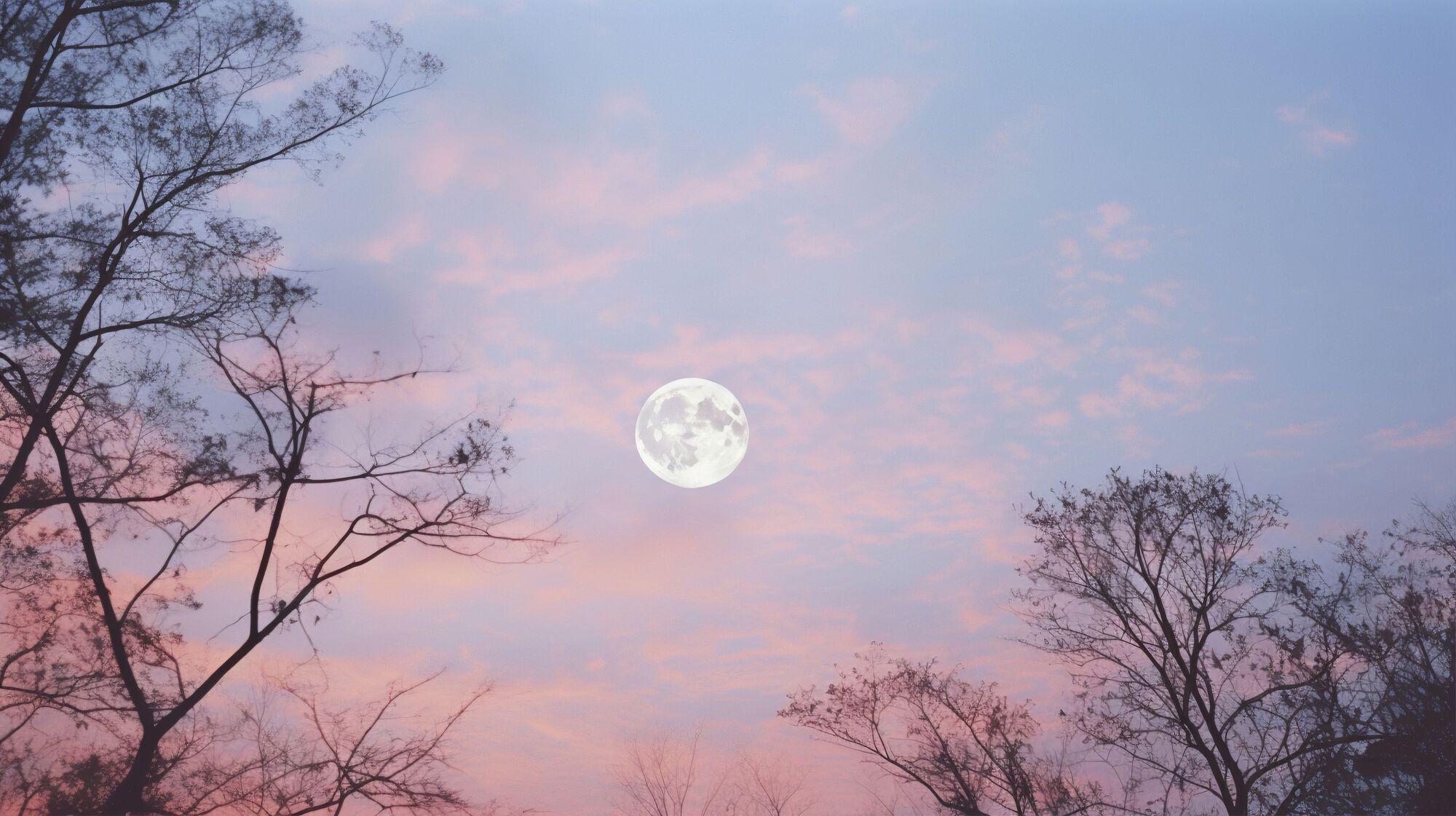 Flower Full Moon will rise over the Earth: when and what is it?