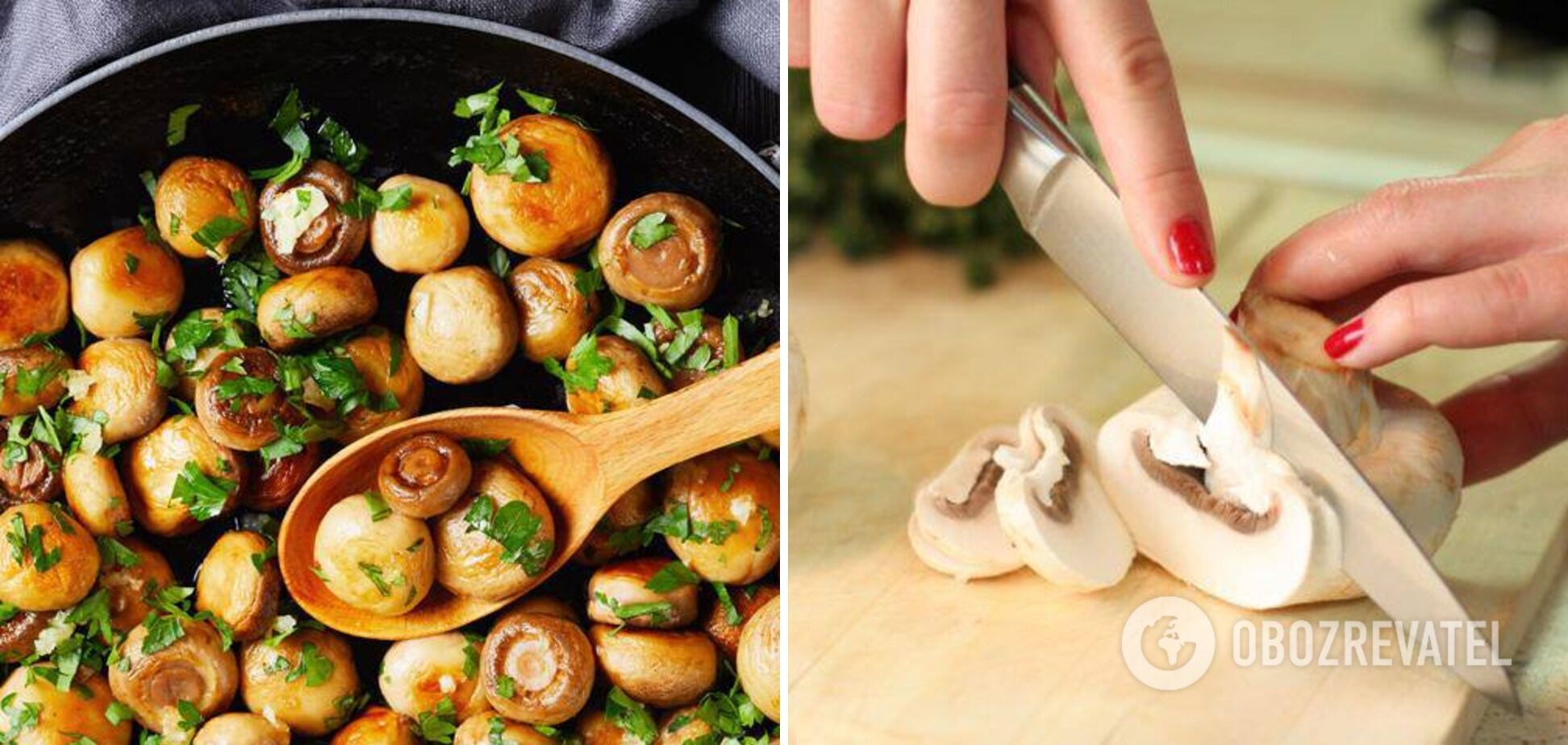 Mushrooms for cooking