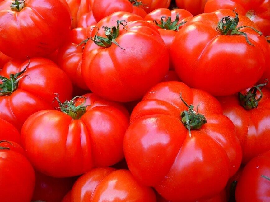 What to cook with tomatoes
