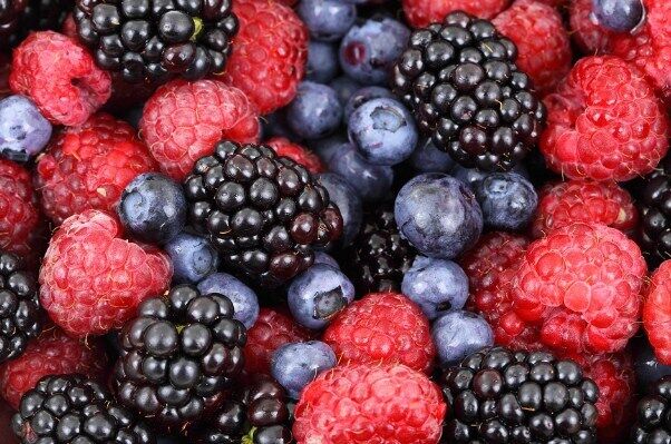 Berries for jelly