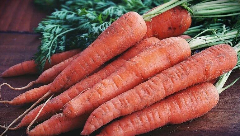 How to store carrots for a long time