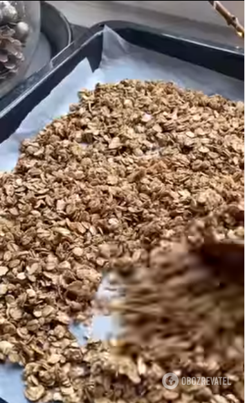 Crispy and budget granola with fruit: how to make at home