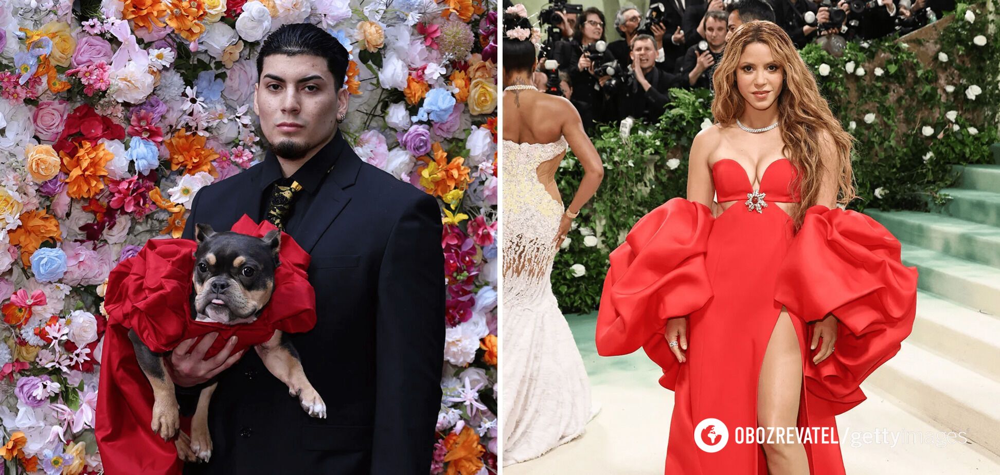 Dogs repeated the images of the stars of the Met Gala 2024. A selection of photos that will cheer you up
