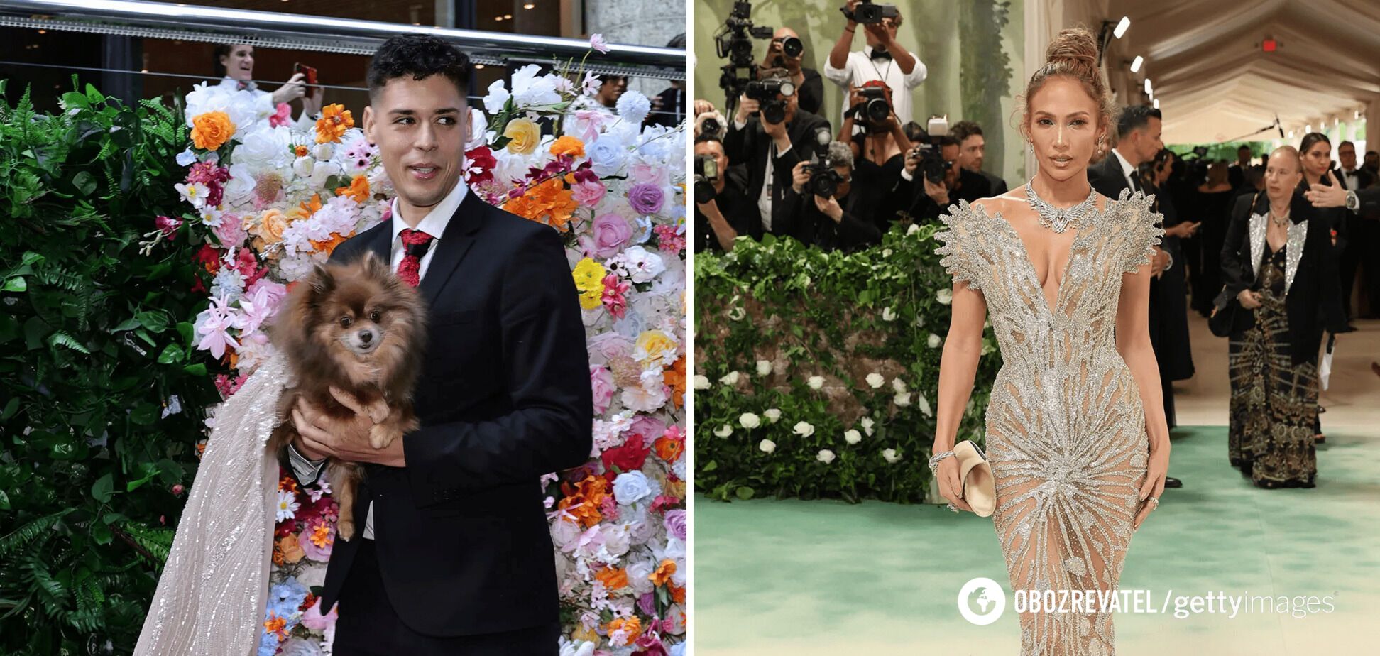 Dogs repeated the images of the stars of the Met Gala 2024. A selection of photos that will cheer you up