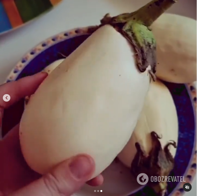How to cook eggplant with minced meat: a variant of a seasonal dish