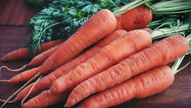 Homegrown carrots