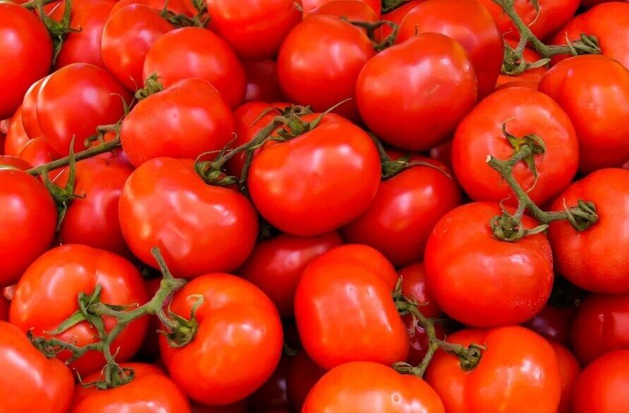 Why you shouldn't store tomatoes in the refrigerator