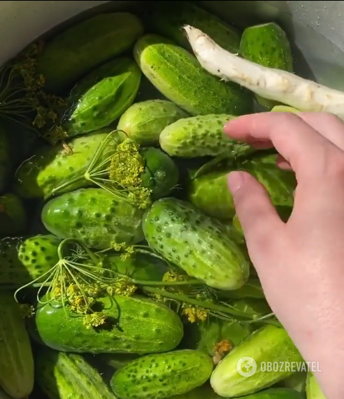 What to cook with cucumbers