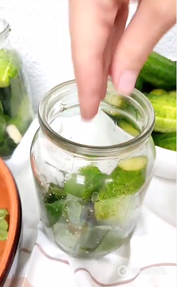 Crispy lightly salted cucumbers: what leaves to pickle with