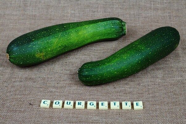 Young zucchini