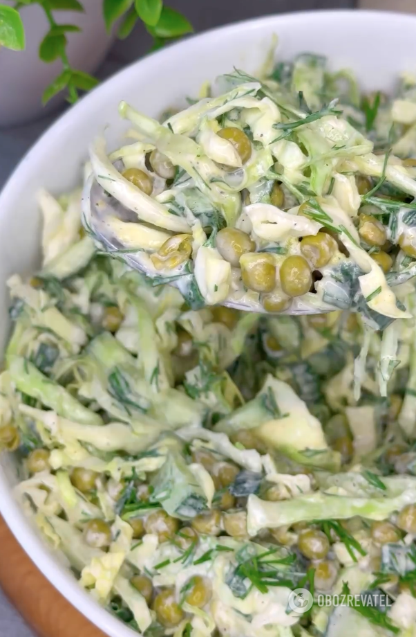 Light young cabbage salad