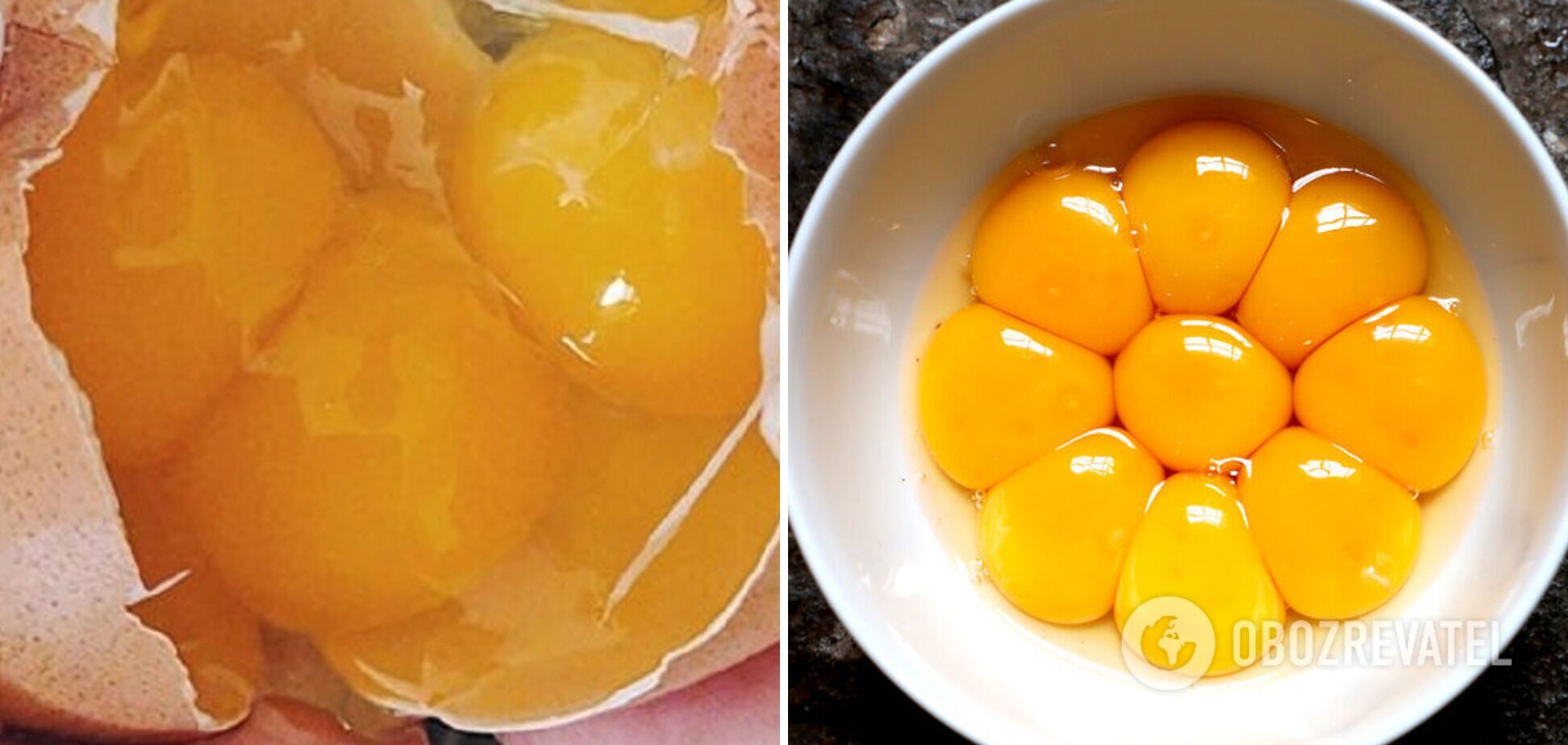 Egg yolks for dough
