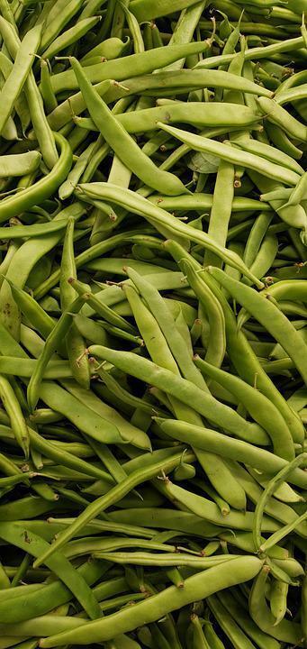 Recipes with asparagus beans