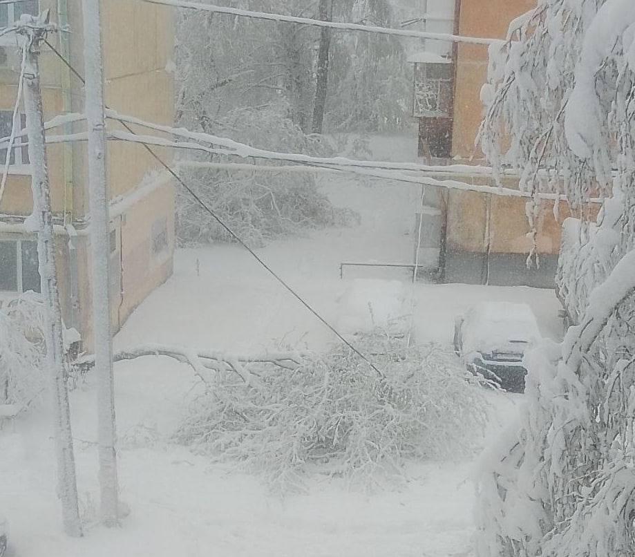  Russia hit by powerful snowfall: blackouts and road accidents reported in several cities