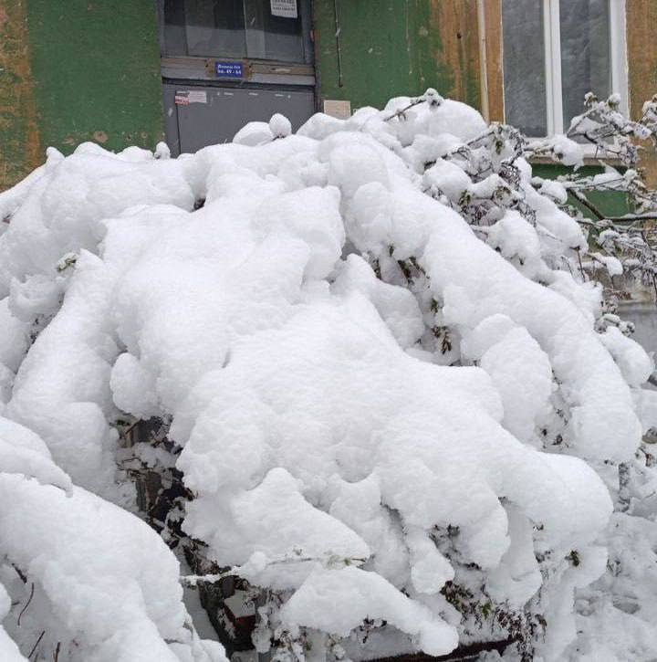  Russia hit by powerful snowfall: blackouts and road accidents reported in several cities