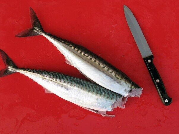 Quick-cooking pickled mackerel