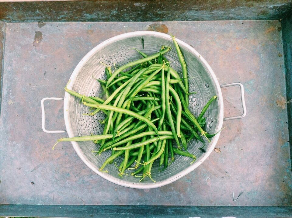 How to boil green beans correctly