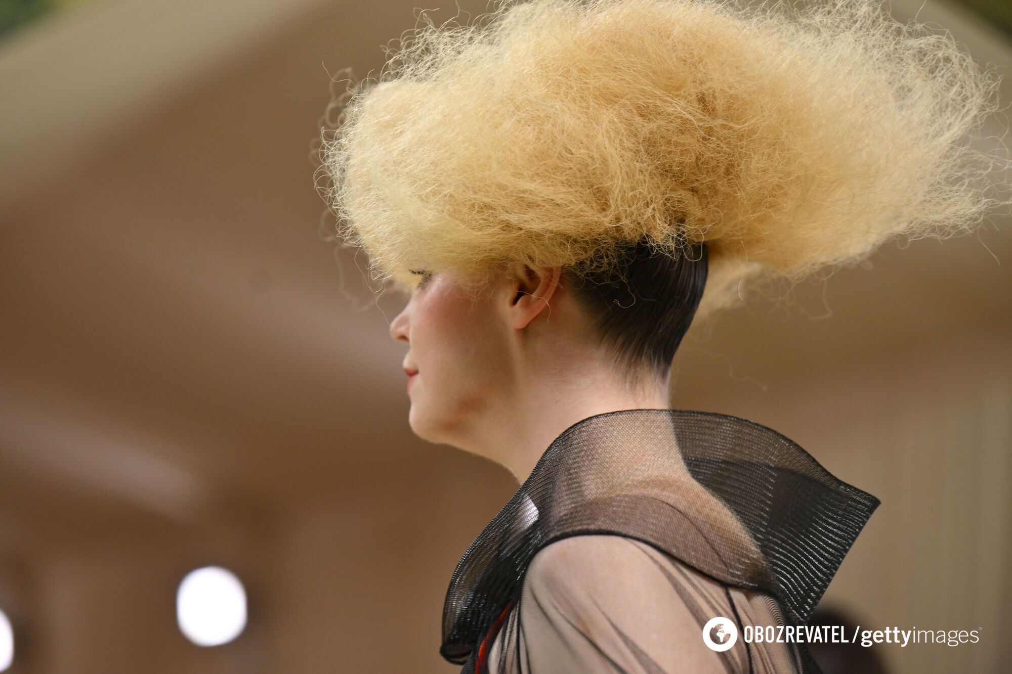 Looks like a stork's nest. What one of the strangest hairstyles looked like at the Met Gala 2024