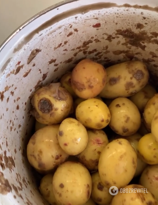 How to peel a lot of young potatoes at once: no knife needed
