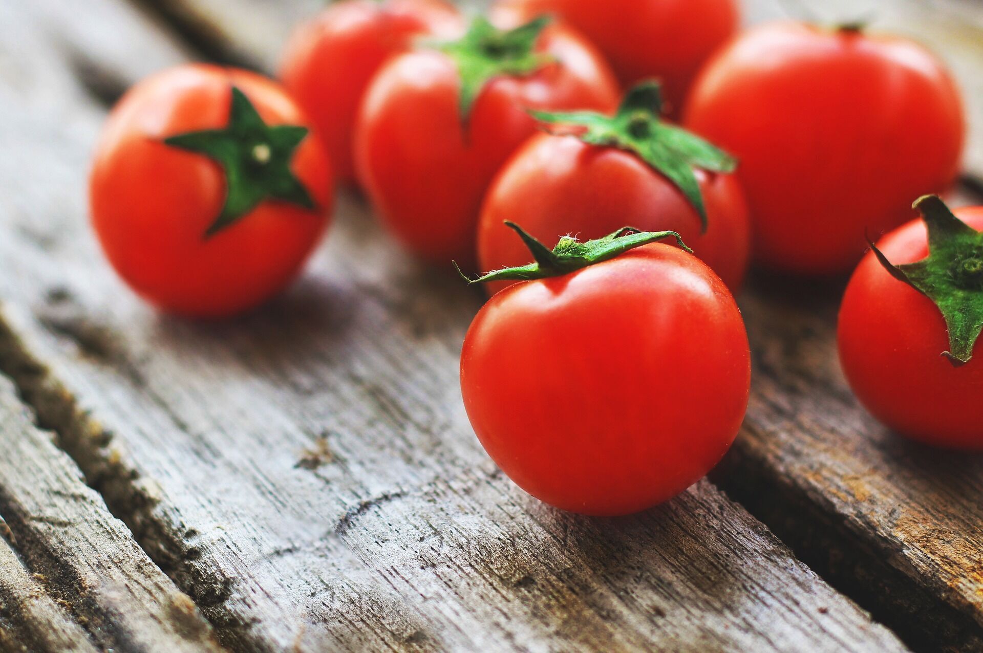 Pomidory do przygotowania sałatki
