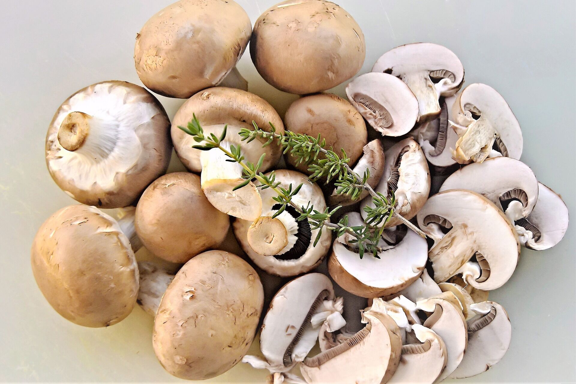 Mushrooms for preservation