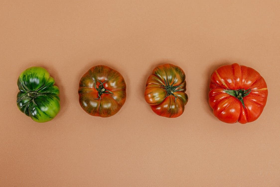 Tomatoes for salad