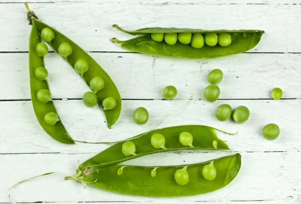 Peas for salad preparation