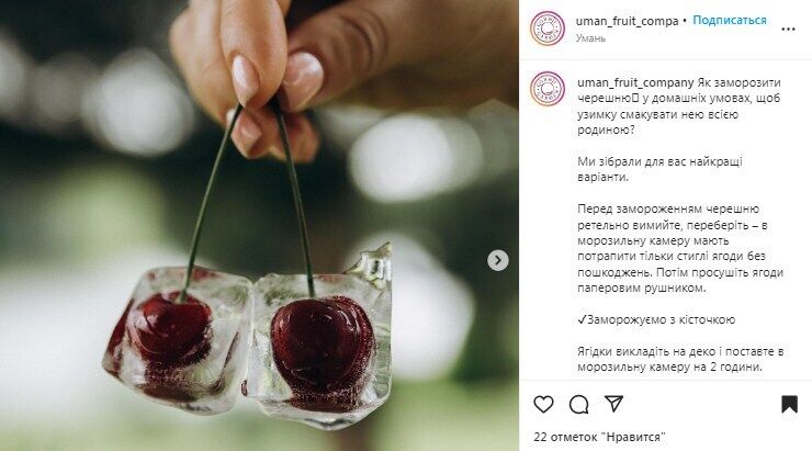 How to properly freeze sweet cherries for the winter