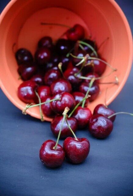 How to freeze sweet cherries with sugar