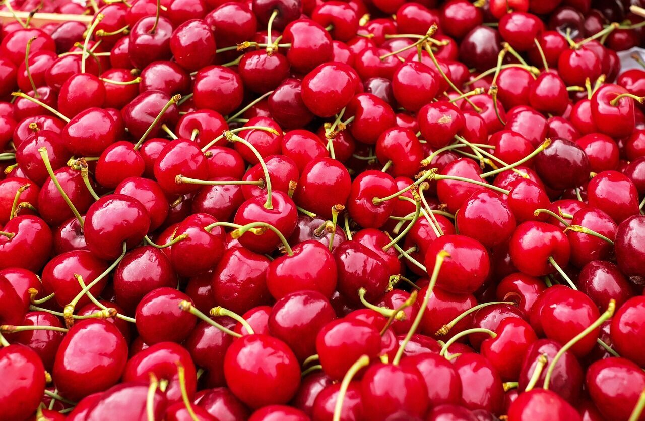 Cherries in their own juice for winter: perfect for cakes, pies and other desserts