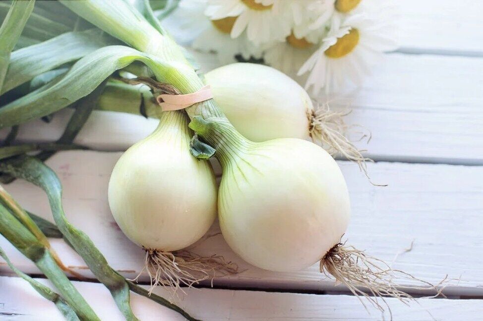 White onion