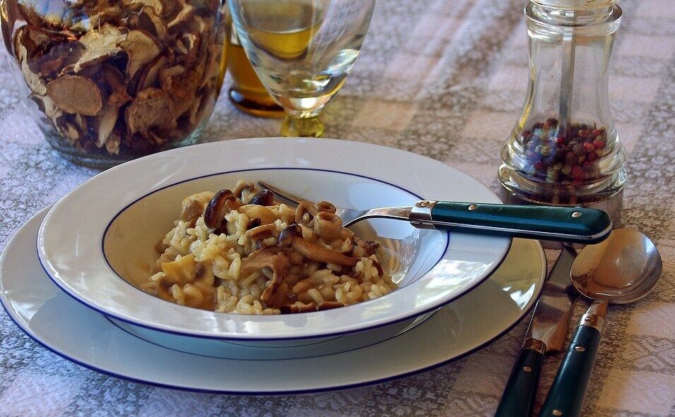 Fried porcini mushrooms for porridge