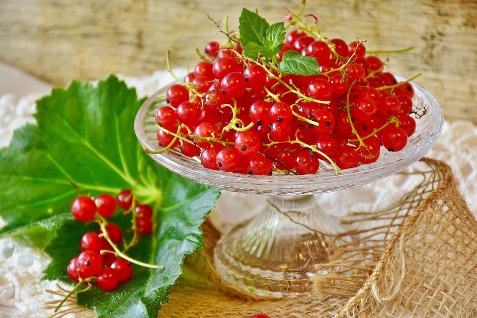 Canned red currants