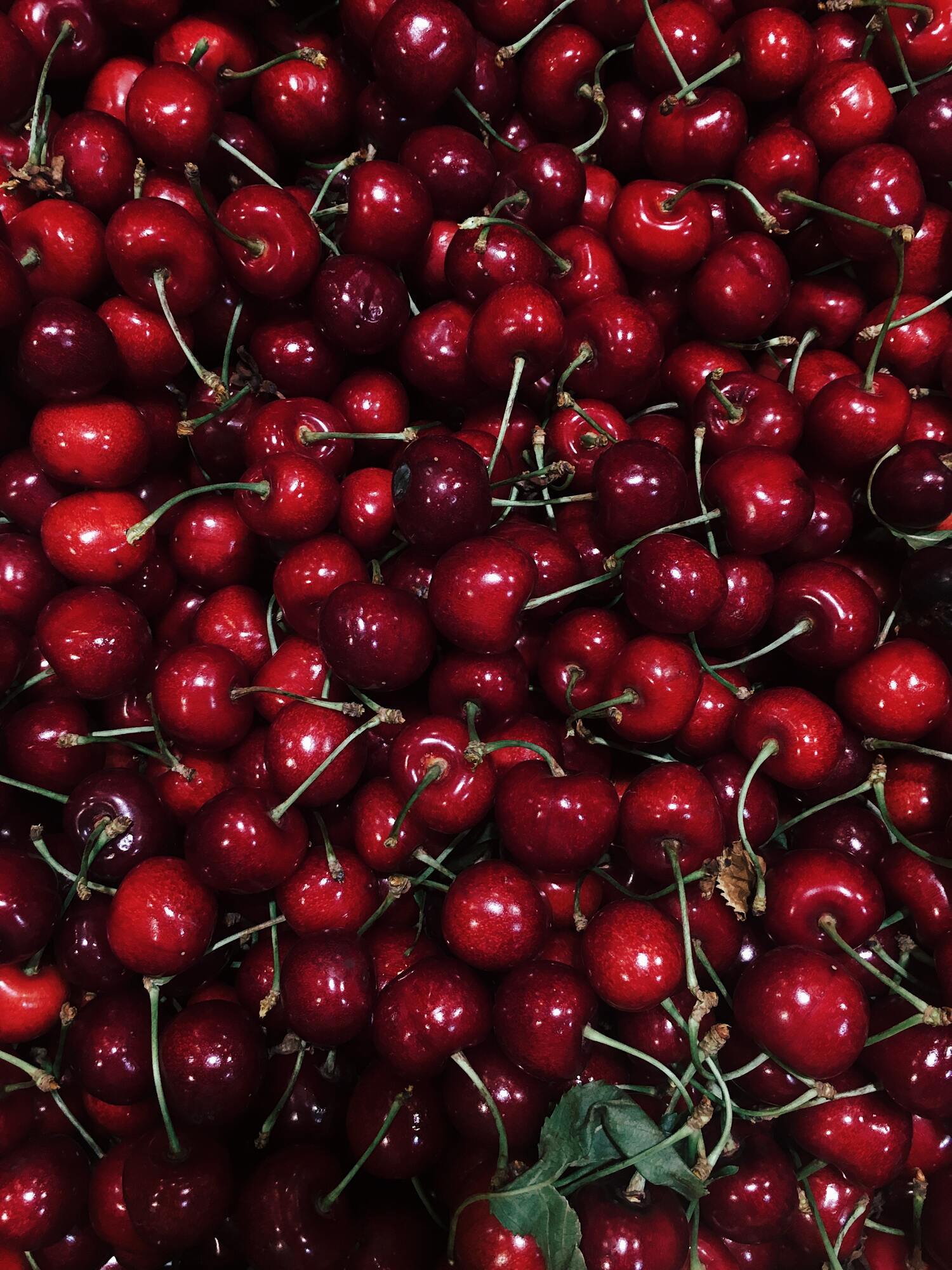 Cherries for jam