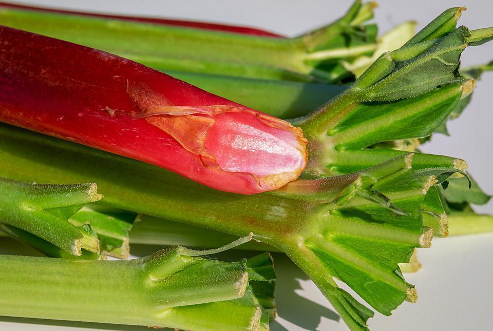 Sweet rhubarb syrup instead of a cocktail: how to make an interesting drink