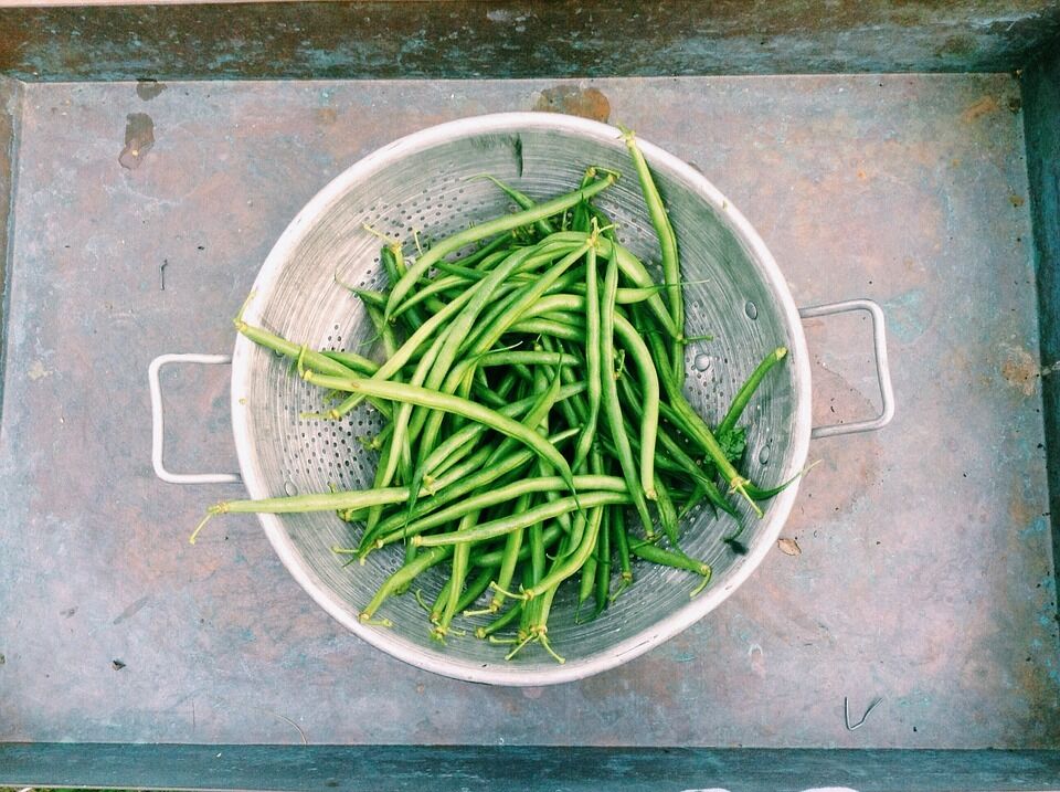 What to cook with green beans