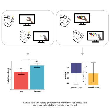 Humans with ''tweezer-like'' bionic hand tools: neuroscientists' new study may be the beginning of real-life Cyperpunk